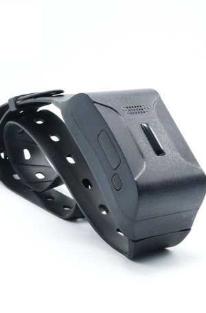 Pet Tracker D-Track207
